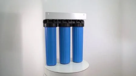 Carcasa del filtro de agua de retrolavado Jumbo de 10 pulgadas